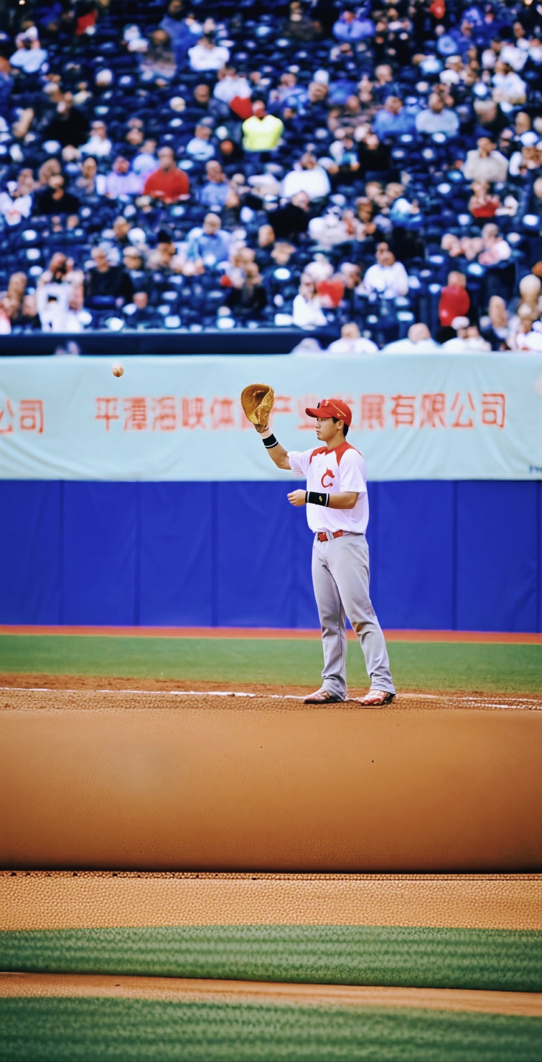 一场经典之战!棒球点燃球迷热情 一场经典之战!棒球点燃球迷热情