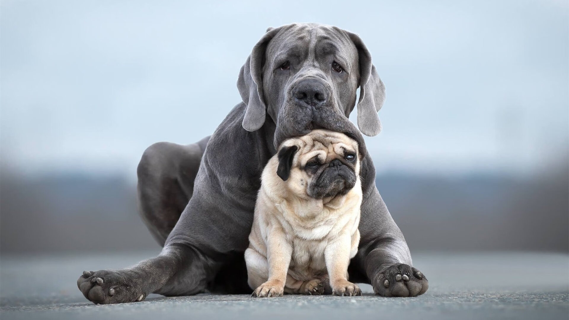 北非之光黯淡，萨拉赫一锤定音，马赛一波流带走摩洛哥