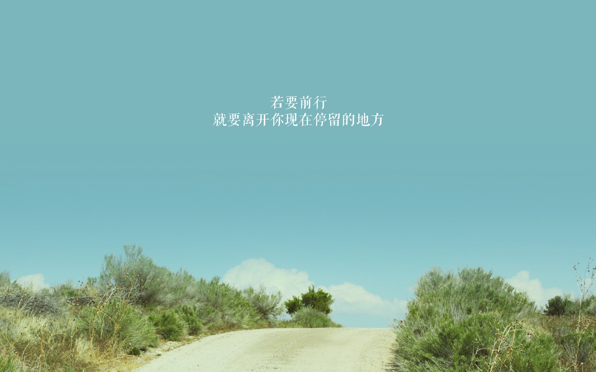 布克致命一击！上海队客场掀翻卫冕冠军，科尔赛后承认低估了他们