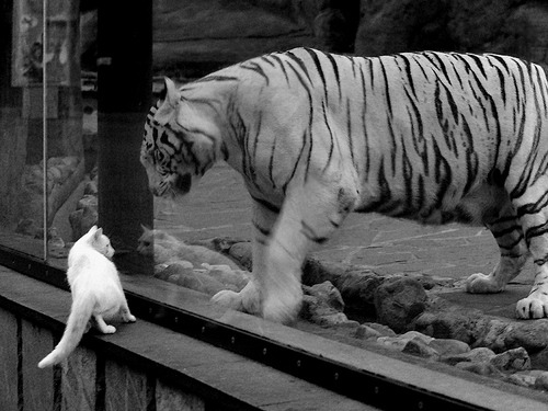 日本天才改写历史，久保建英一剑封喉助法甲新军力克尼斯