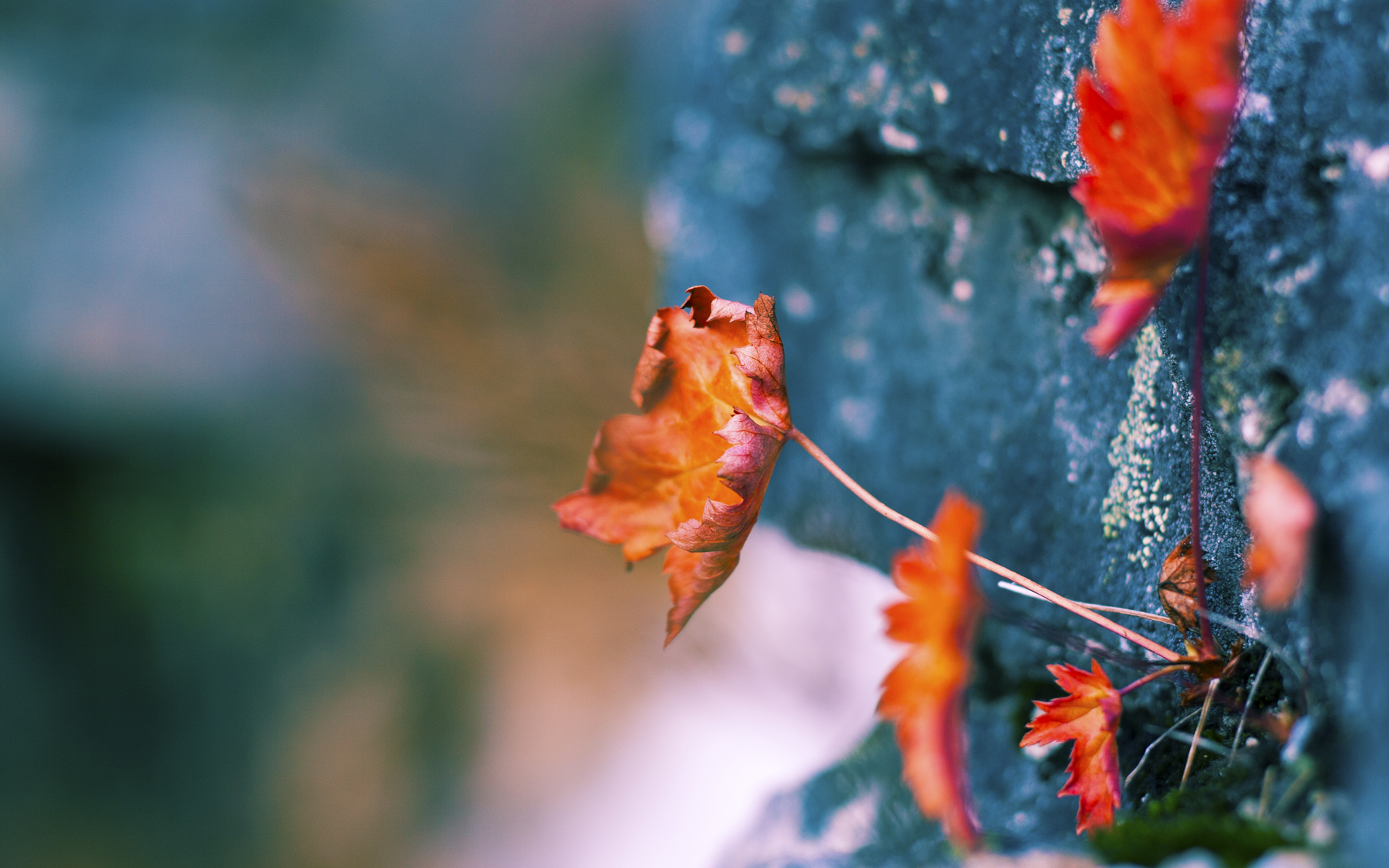 开云体育入口-哈登化身独行侠总舵手，一手方向盘彻底扭转战局