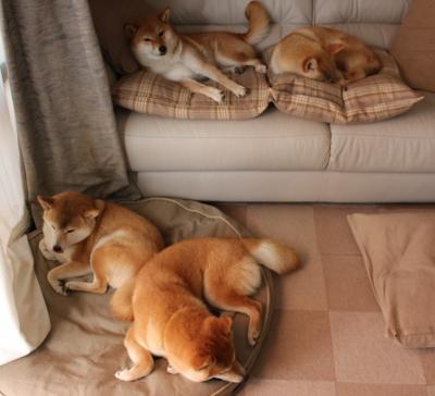 当东方巨龙遇上费城之光，班凯罗爆发，辽宁队巅峰对决胜出76人