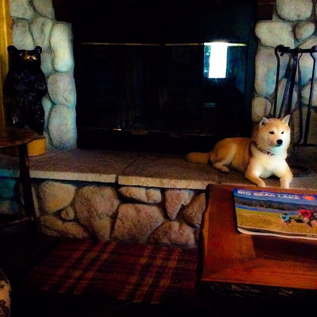 暗战与宣言，当突尼斯铁壁遭遇日本利刃，谁为新足球秩序写下证明书？