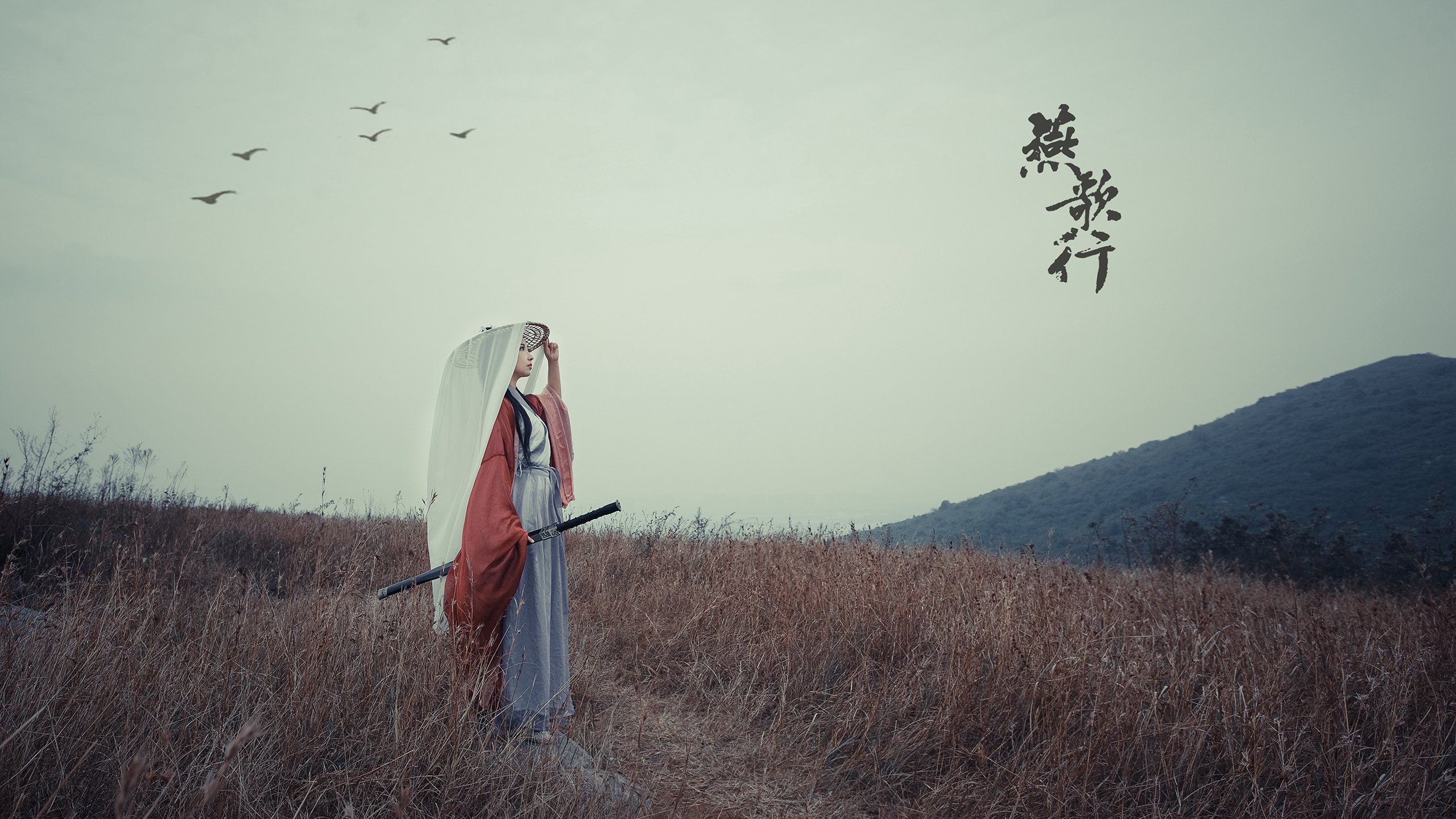 维京战吼震碎北欧德比，阿诺德的冰岛密码与一场颠覆足坛认知的G组风暴