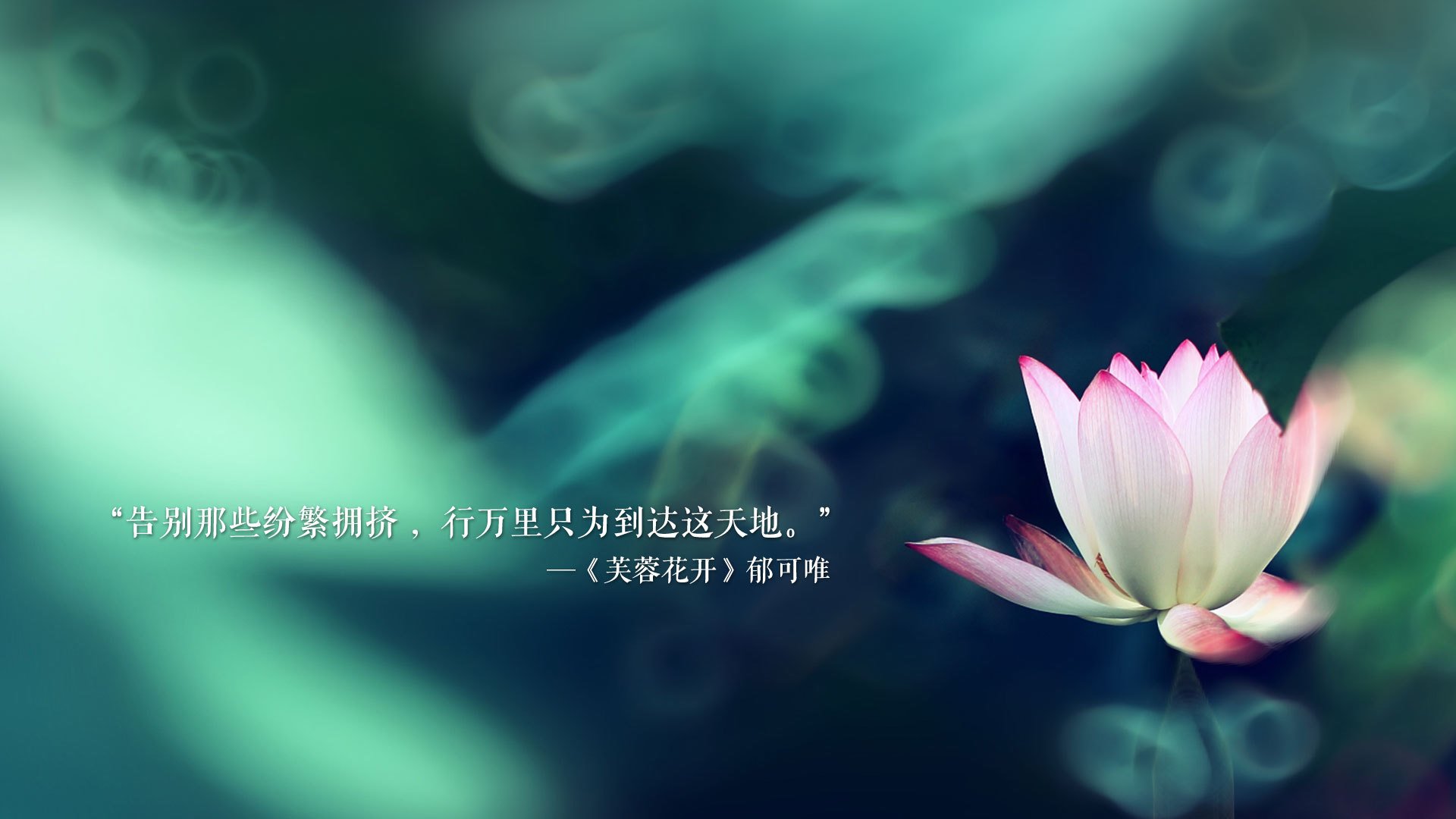 多瑙河畔的蓝色狂想,2026世界杯F组,匈牙利铁骑踏破潘帕斯,孙兴慜以上帝视角定义绝对巨星